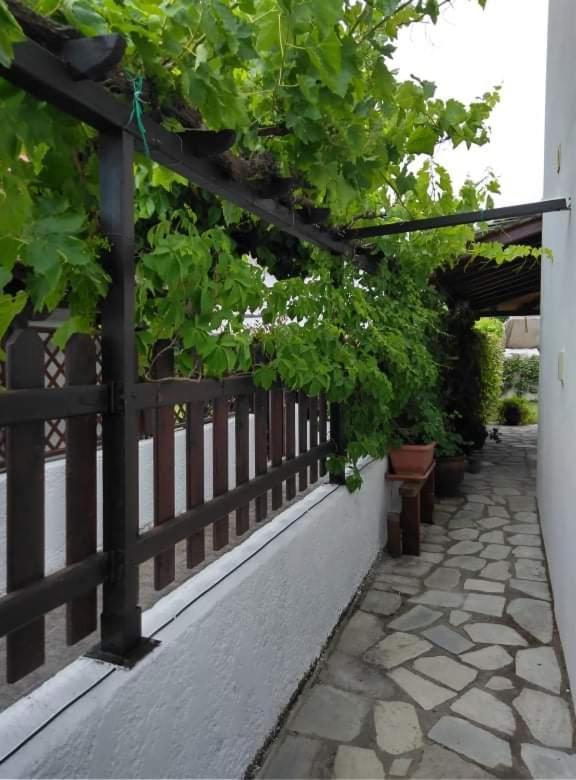 Вилла Starfish Koropi Pelion Milies South Pelion Экстерьер фото